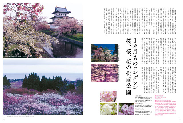 ピート桜-2